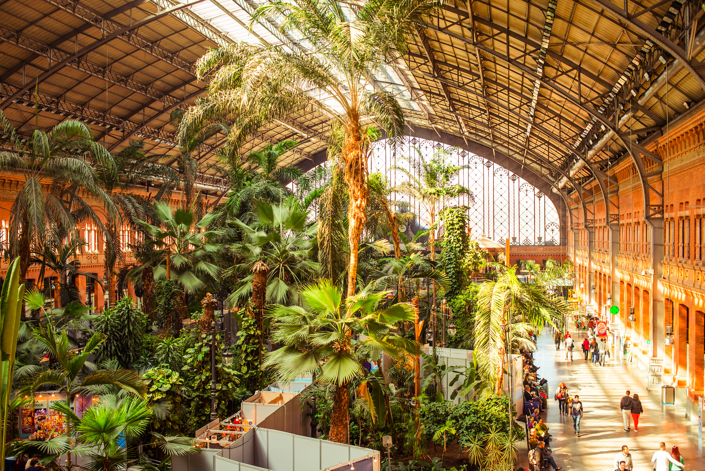 Estación de Atocha - Jardín Interior, Madrid